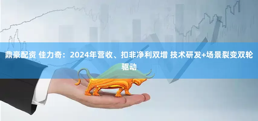 鼎豪配资 佳力奇：2024年营收、扣非净利双增 技术研发+场景裂变双轮驱动