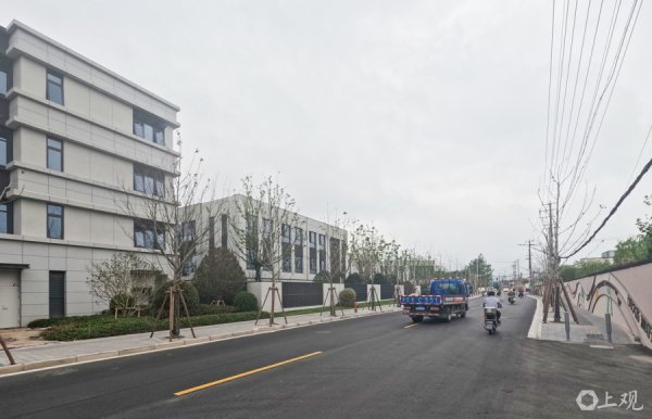 一点金 场面 | 宝山静安交界的沪太支路、南大路焕新，机非分界清晰，还补种枫香树