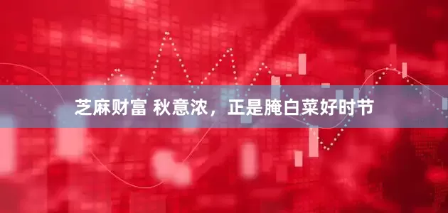 芝麻财富 秋意浓，正是腌白菜好时节