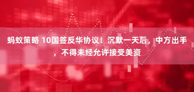 蚂蚁策略 10国签反华协议！沉默一天后，中方出手，不得未经允许接受美资